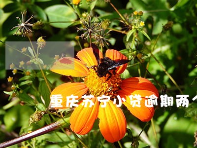 重庆苏宁小贷逾期两个月 重庆苏宁小贷逾期两个月
