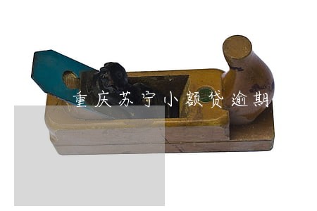 重庆苏宁小额贷逾期了 重庆苏宁小额贷逾期了
