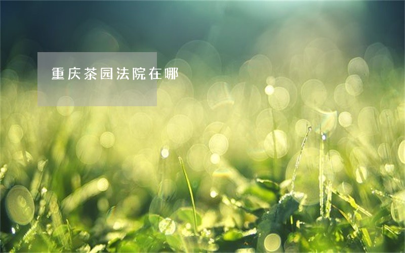 重庆茶园法院在哪