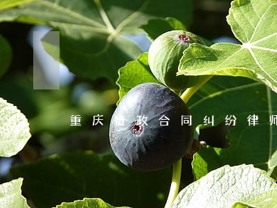 重庆行政合同纠纷律师在线咨询 重庆行政合同纠纷律师在线咨询