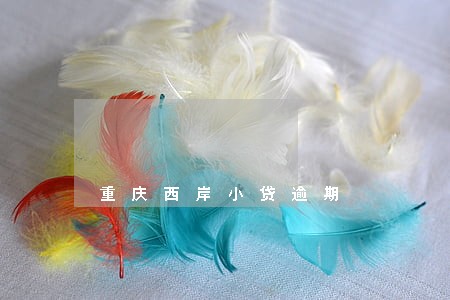 重庆西岸小贷逾期