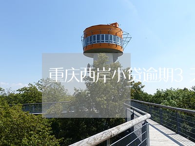 重庆西岸小贷逾期3天 重庆西岸小贷逾期3天