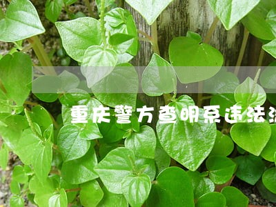 重庆警方查明系违法添 重庆警方查明系违法添