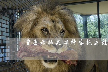 重庆诈骗案律师委托流程 重庆诈骗案律师委托流程