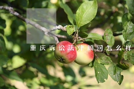 重庆诉讼法律顾问怎么样 重庆诉讼法律顾问怎么样