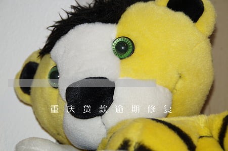 重庆贷款逾期修复 重庆贷款逾期修复