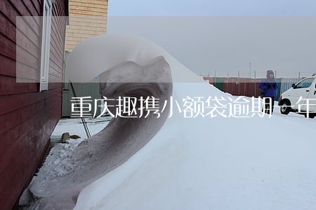 重庆趣携小额袋逾期一年