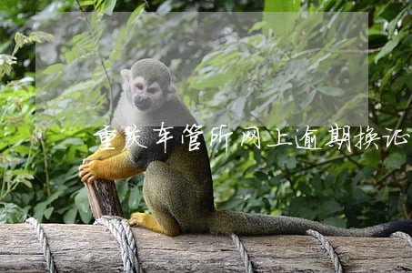 重庆车管所网上逾期换证 重庆车管所网上逾期换证