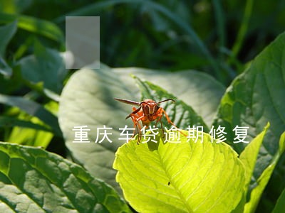 重庆车贷逾期修复 重庆车贷逾期修复