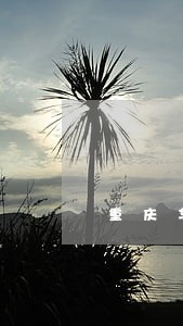 重庆车贷逾期车被扣案例