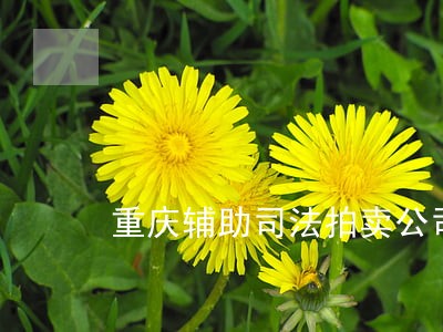 重庆辅助司法拍卖公司