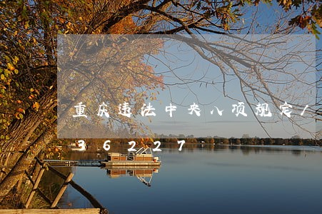 重庆违法中央八项规定/2023013136227 重庆违法中央八项规定/2023013136227