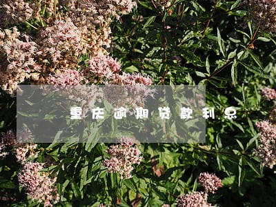 重庆逾期贷款利息 重庆逾期贷款利息