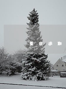 重庆逾期贷款利息的计算 重庆逾期贷款利息的计算