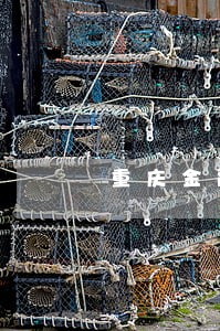 重庆金融逾期案件查询 重庆金融逾期案件查询