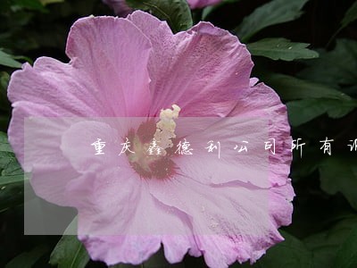 重庆鑫德利公司所有诉讼