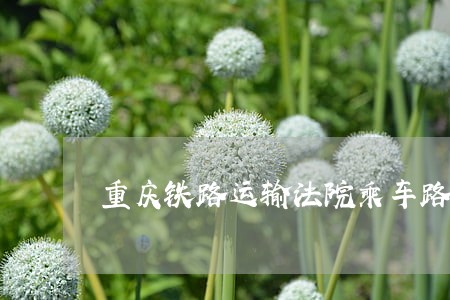 重庆铁路运输法院乘车路线