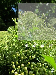 重庆银行信用卡逾期会怎么样 重庆银行信用卡逾期会怎么样