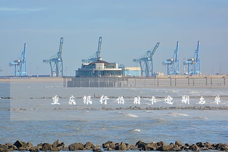 重庆银行信用卡逾期名单