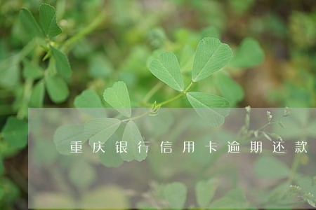 重庆银行信用卡逾期还款会怎么样 重庆银行信用卡逾期还款会怎么样