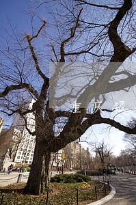 重庆银行信用卡逾期重新激活 重庆银行信用卡逾期重新激活