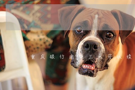 重庆银行逾期三天可以续贷吗 重庆银行逾期三天可以续贷吗