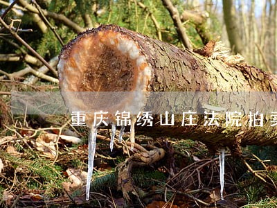 重庆锦绣山庄法院拍卖房 重庆锦绣山庄法院拍卖房