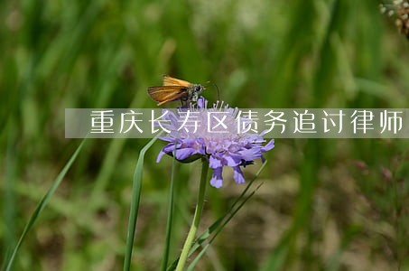 重庆长寿区债务追讨律师 重庆长寿区债务追讨律师