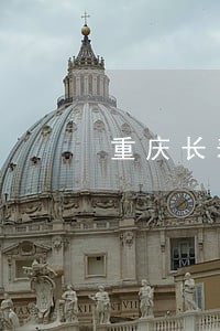 重庆长寿飞司法局长戴家强