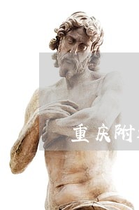 重庆附近看守所会见律师费用多少 重庆附近看守所会见律师费用多少