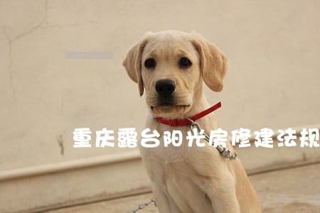 重庆露台阳光房修建法规 重庆露台阳光房修建法规