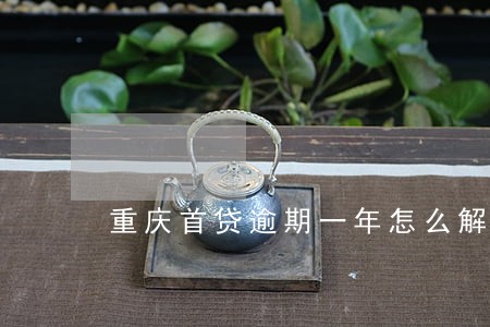 重庆首贷逾期一年怎么解释 重庆首贷逾期一年怎么解释