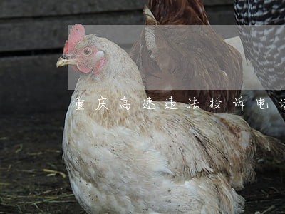 重庆高速违法投诉电话 重庆高速违法投诉电话