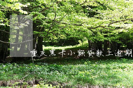 重庆黑卡小额贷款上逾期 重庆黑卡小额贷款上逾期