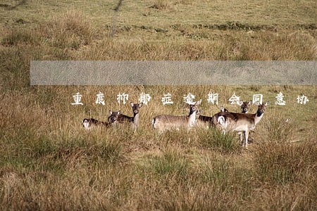 重度抑郁症逾期会同意协商吗 重度抑郁症逾期会同意协商吗