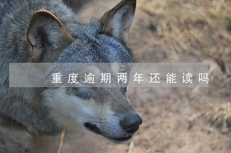 重度逾期两年还能读吗 重度逾期两年还能读吗
