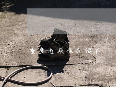 重度逾期催收话术 重度逾期催收话术