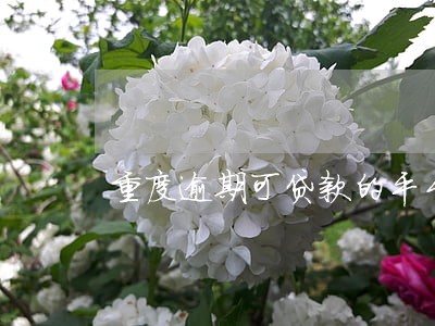 重度逾期可贷款的平台2019 重度逾期可贷款的平台2019