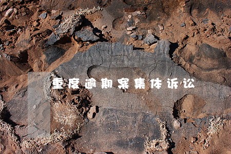 重度逾期案集体诉讼 重度逾期案集体诉讼