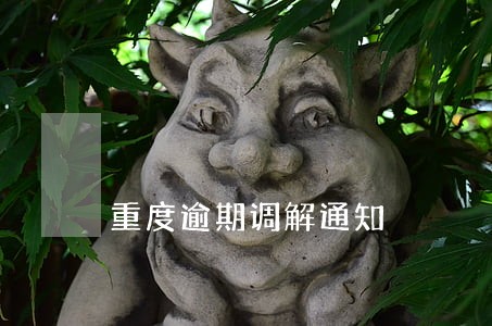 重度逾期调解通知 重度逾期调解通知
