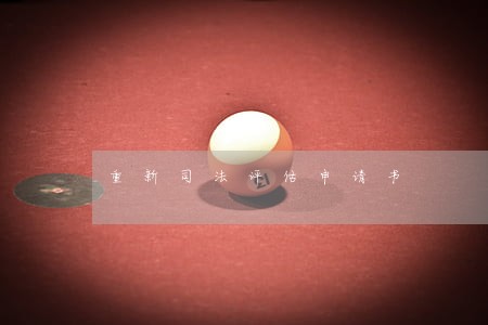 重新司法评估申请书 重新司法评估申请书