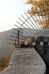 重新提出司法鉴定时间是什么时候 重新提出司法鉴定时间是什么时候