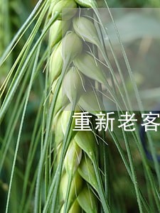 重新老客户有逾期记录能贷么 重新老客户有逾期记录能贷么