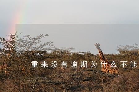 重来没有逾期为什么不能贷款 重来没有逾期为什么不能贷款