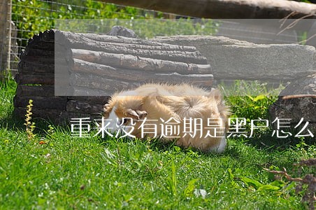 重来没有逾期是黑户怎么办 重来没有逾期是黑户怎么办