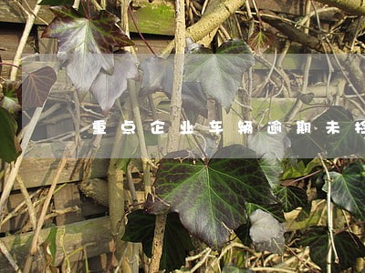 重点企业车辆逾期未检验 重点企业车辆逾期未检验