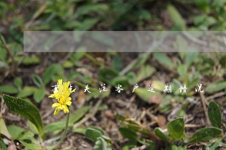重点关注客户逾期情况 重点关注客户逾期情况