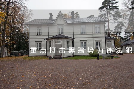 重点打击黑恶势力违法犯罪活动 重点打击黑恶势力违法犯罪活动