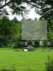 重点整治8类严重违法行为 重点整治8类严重违法行为