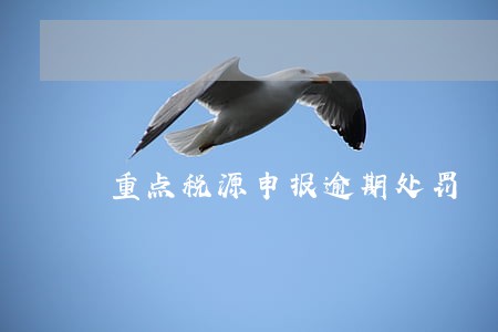 重点税源申报逾期处罚 重点税源申报逾期处罚